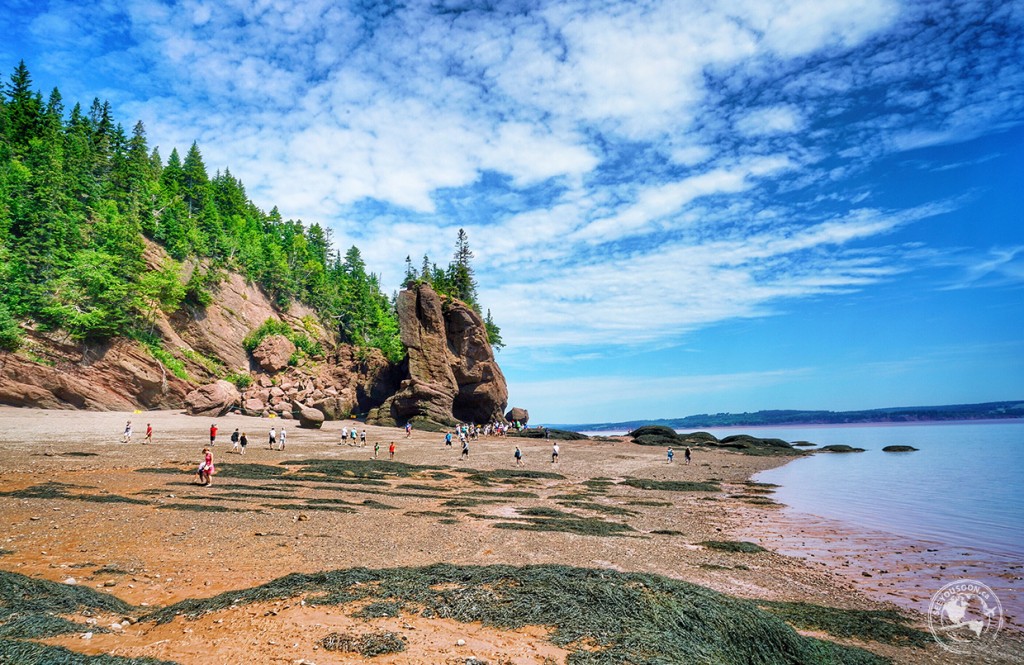 Bay of Fundy and the Hopewell Rocks