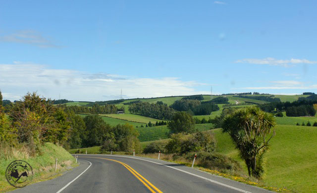 New Zealand South Island Roadtrip Itinerary