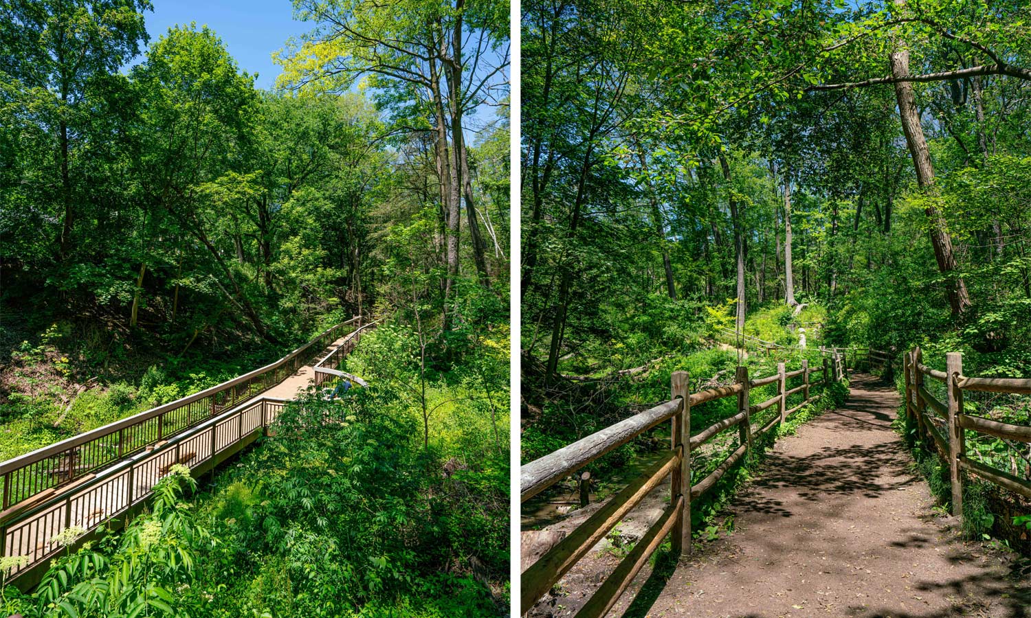 Top Hiking Trails in Toronto - seeyousoon.ca
