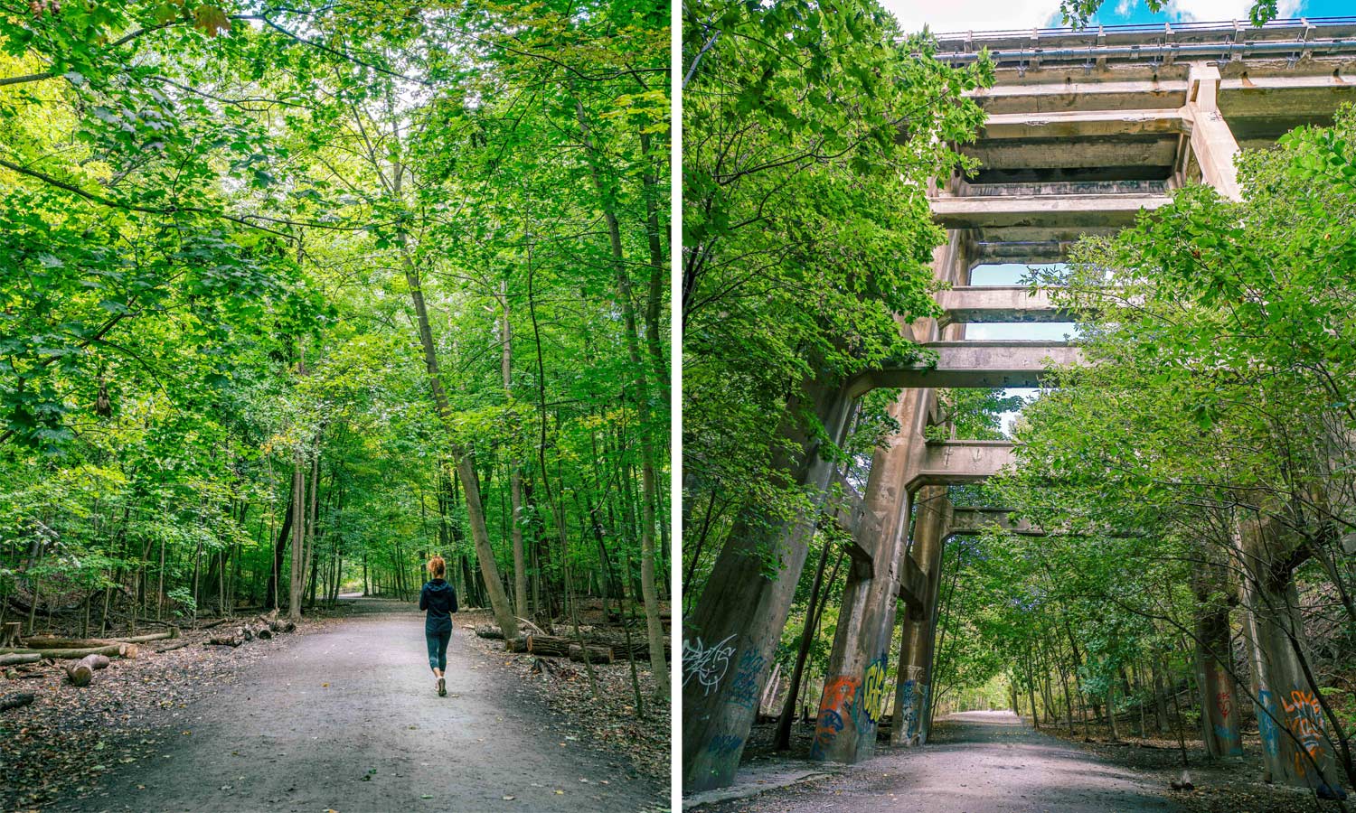 Top Hiking Trails in Toronto - seeyousoon.ca